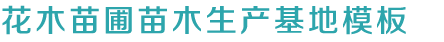 k8.com游戏平台,k8凯发手机版AP